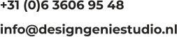 +31 (0)6 3606 95 48 info@designgeniestudio.nl